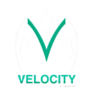 logo velocity